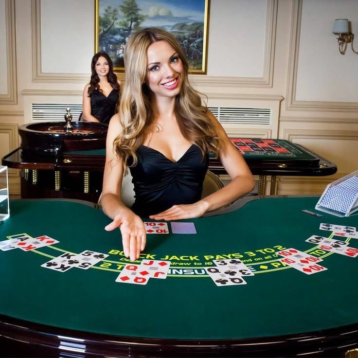 2344 bet app